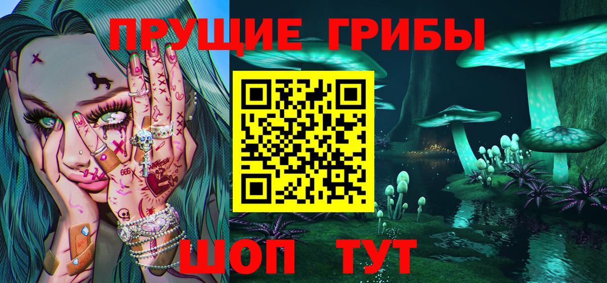 Гатчина  цена   Вход с VPN  Галлюциногенные грибы GOLDEN TEACHER  Галлюциногенные грибы мицелий 