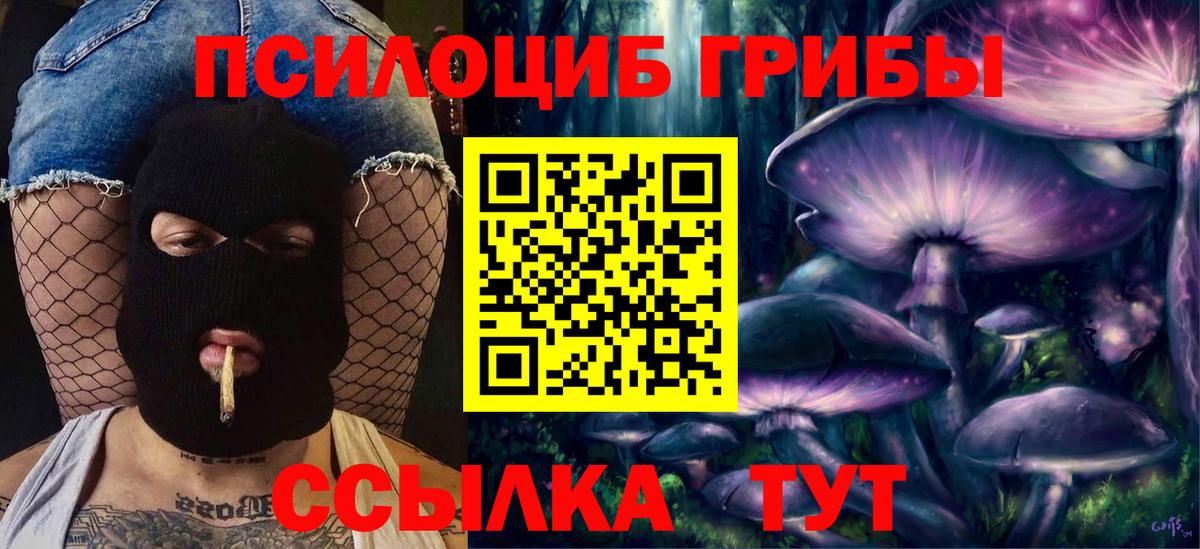 Галлюциногенные грибы ЛСД Гатчина